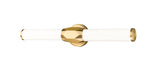 1010-25W-MGLD-LED