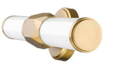1010-25W-MGLD-LED