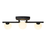 81704/LED