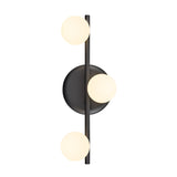 81704/LED