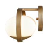 81731/LED
