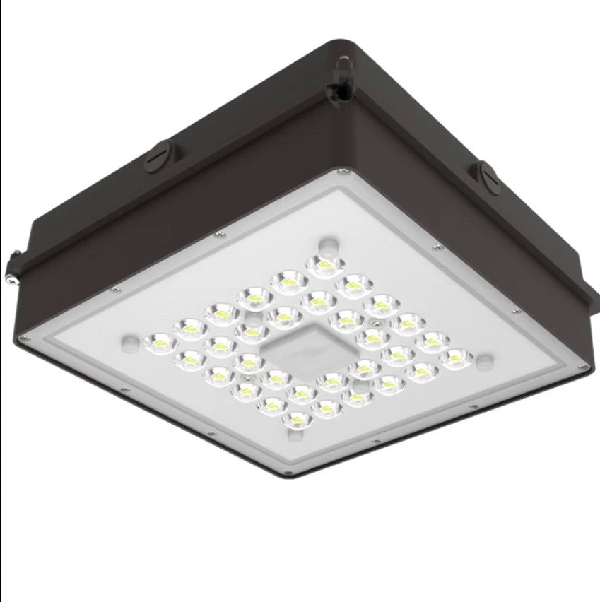 Canopy Light 101-BZ-5K