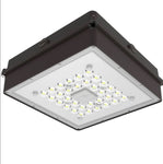 Canopy Light 101-BZ-5K