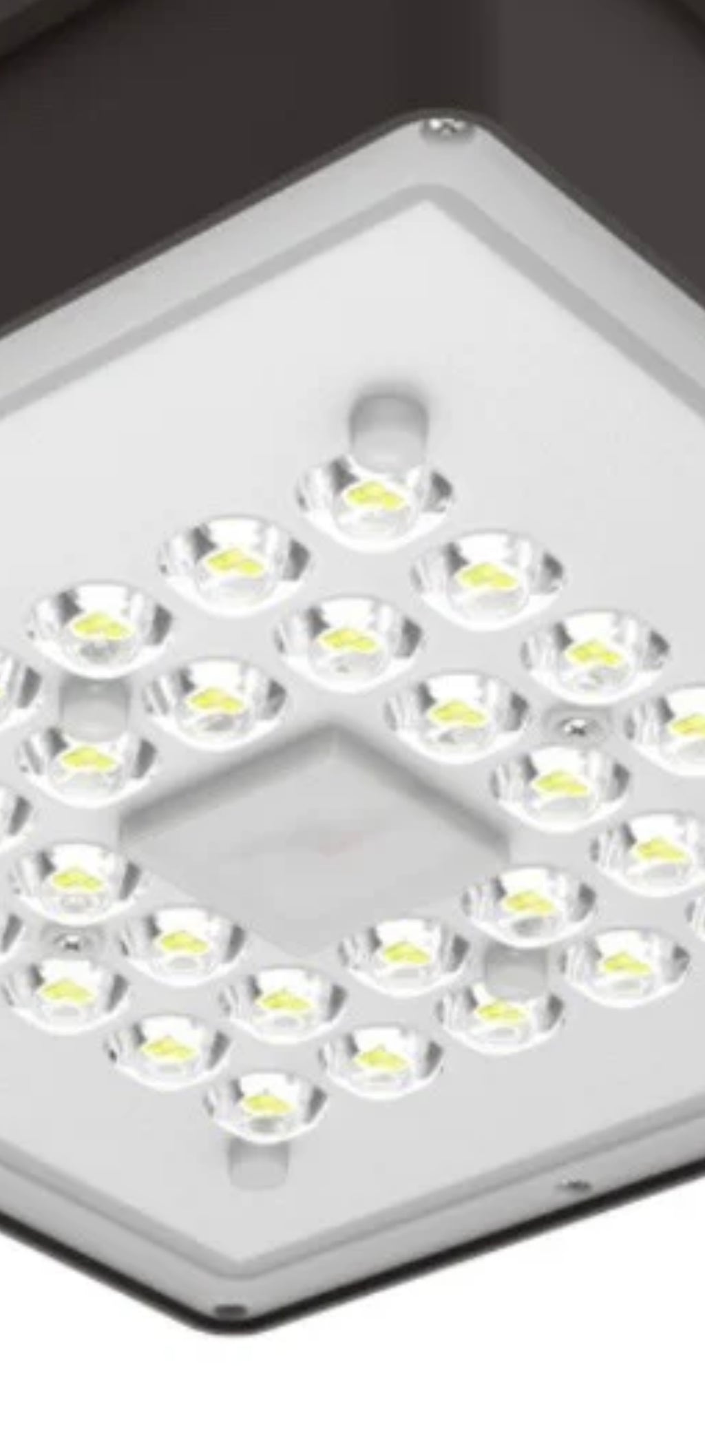 Canopy Light 101-BZ-5K