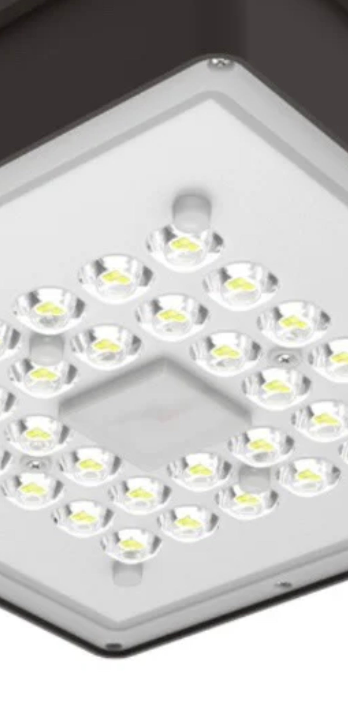 Canopy Light 101-BZ-5K