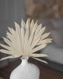 Sun Palm Leaves (2 Pack)