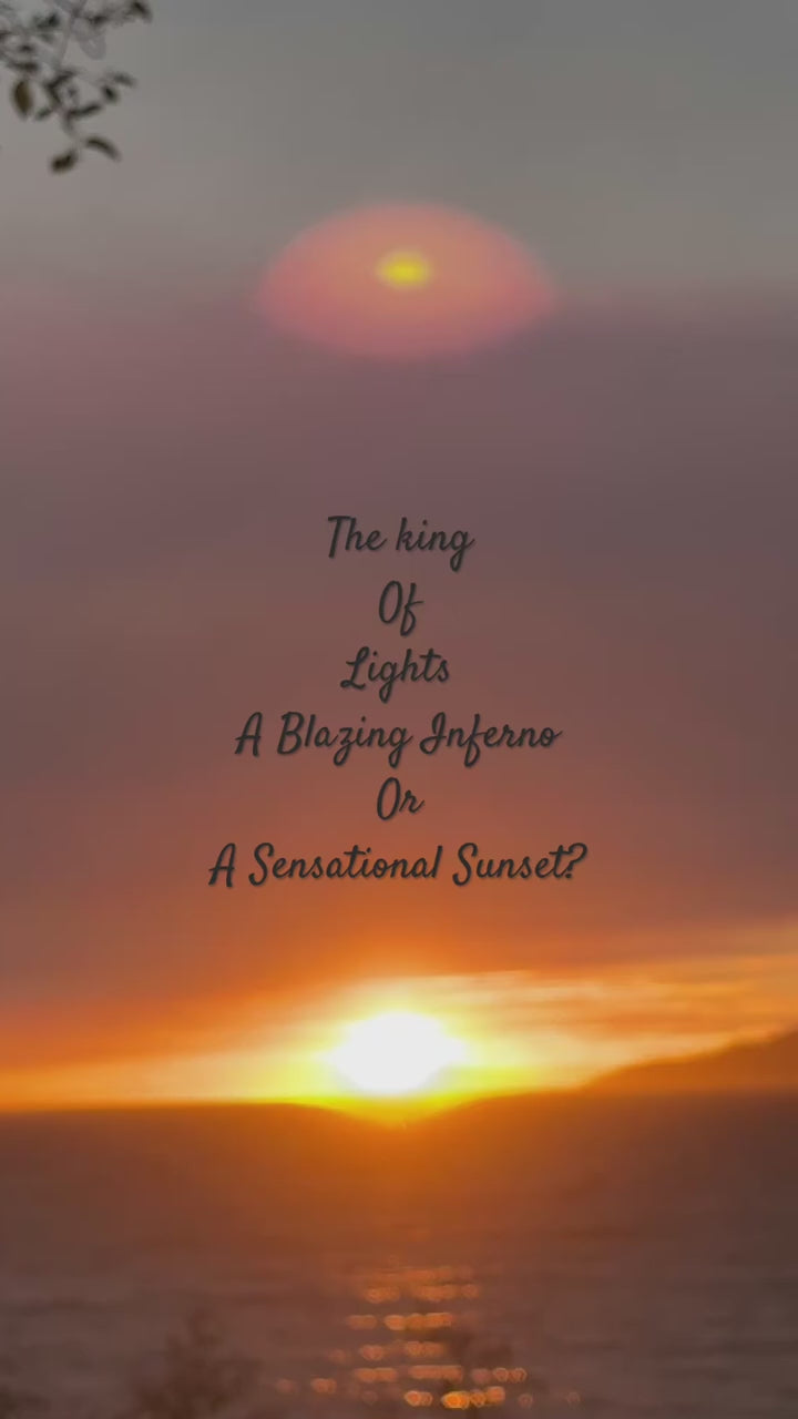 24V Strip Light-172-OD-RGB